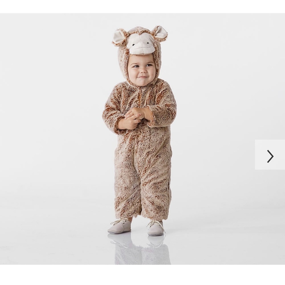 Pottery Barn Baby Monkey Halloween Costume